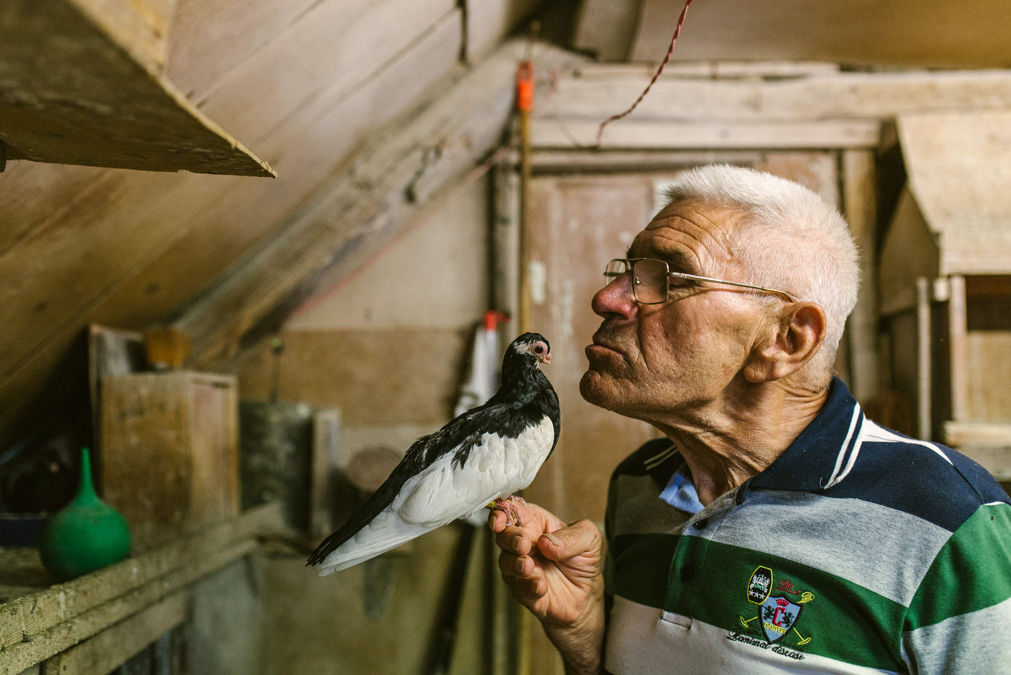 Как сделать поилки и автокормушки для голубей своими руками